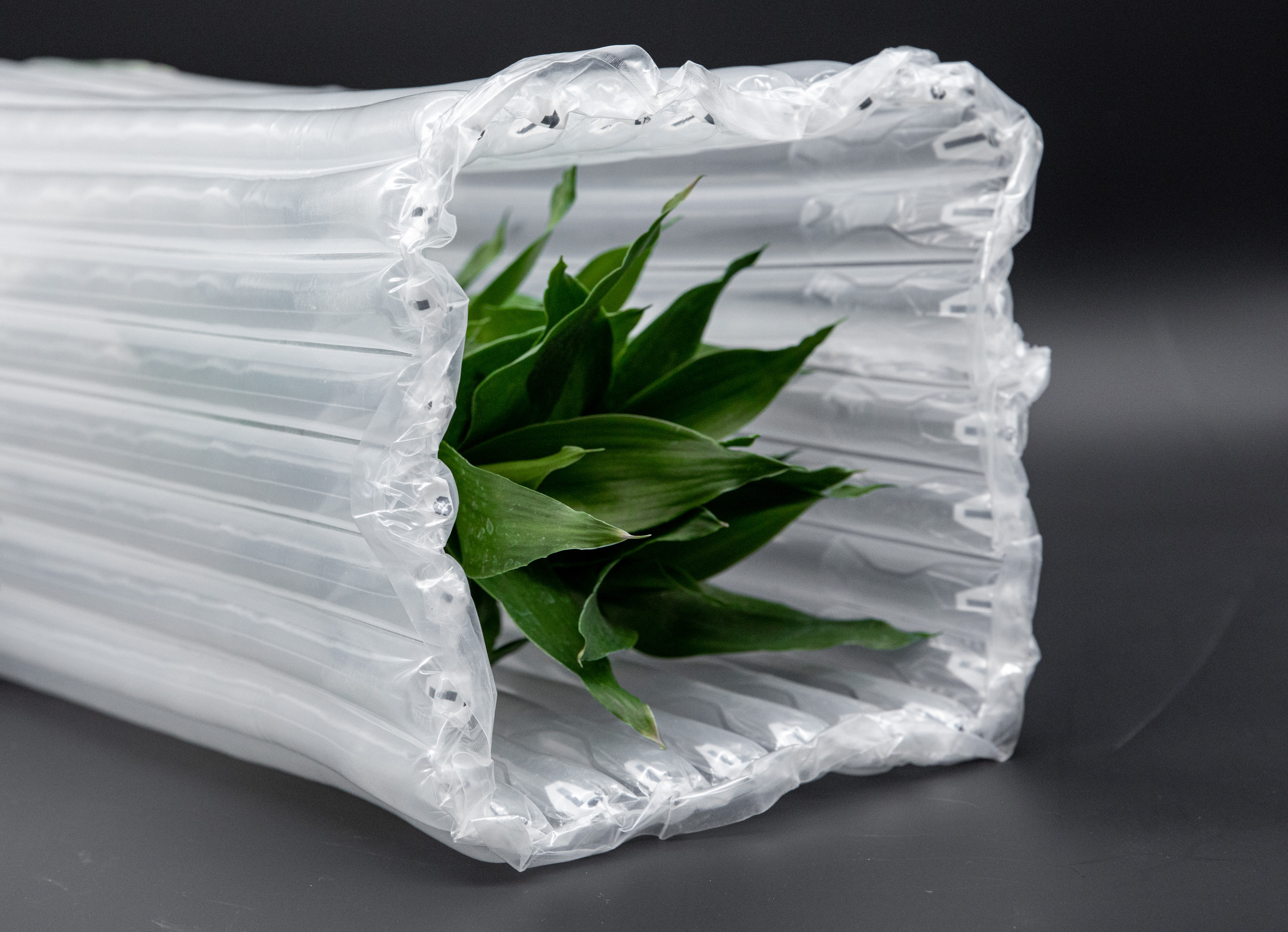 Ordinary Protective Packaging Air Column Bag For Goods