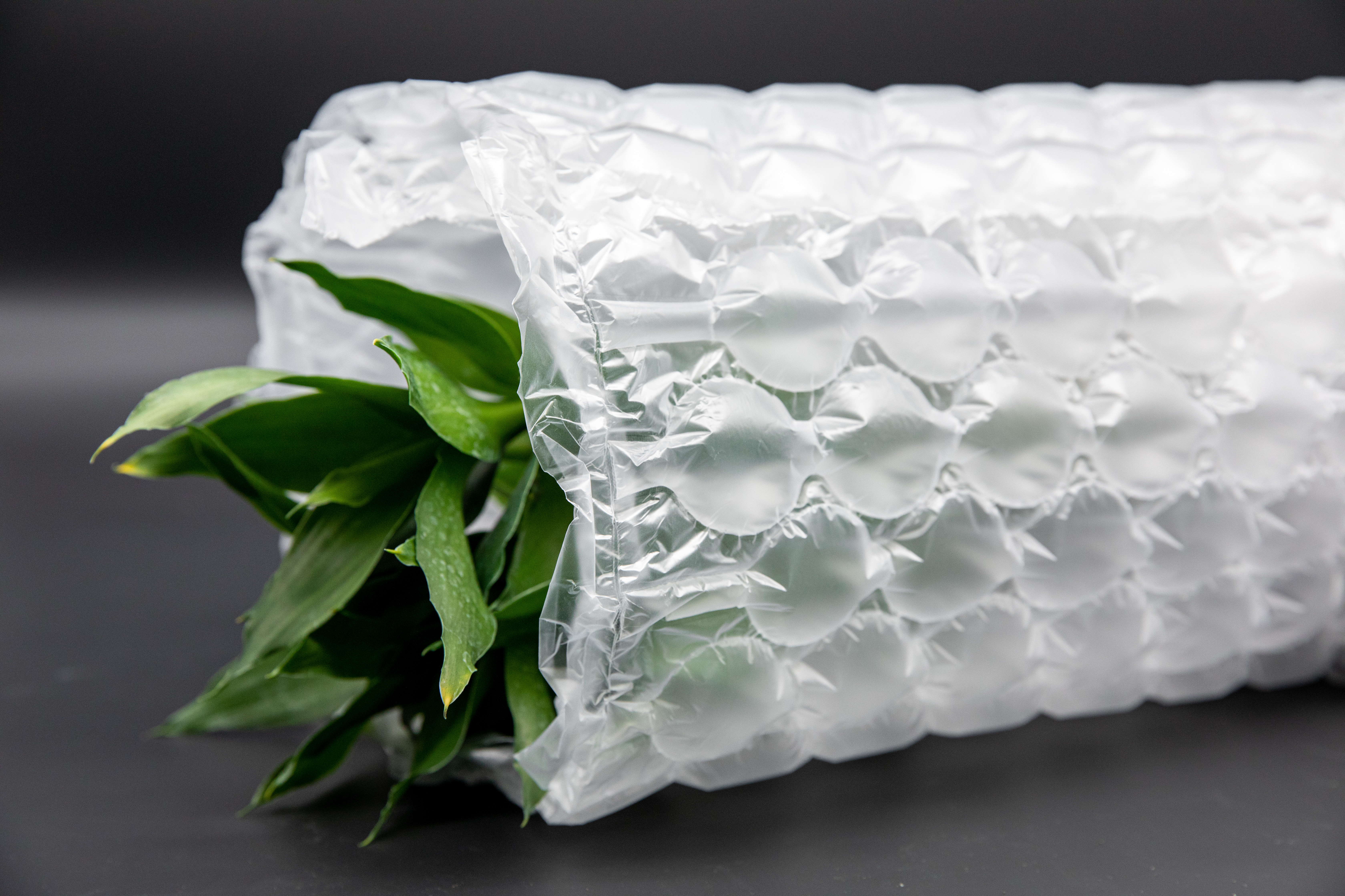 Popular Quilted Air Bubble Wrap Bags